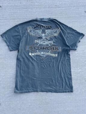 Thrashed Vintage Sturgis Black Hills Rally 2000 Green T‑Shirt Men’s M Distressed